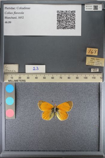 Media type: image;   Entomology 193829